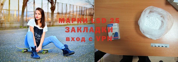 сатива Горняк