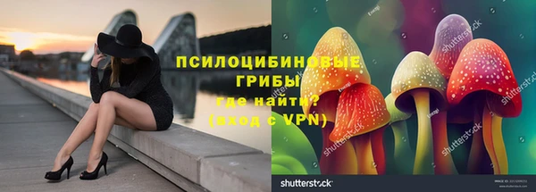 a pvp Горнозаводск