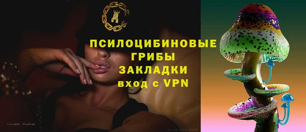 сатива Горняк