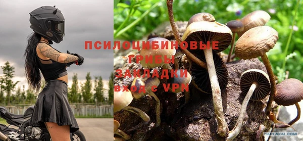 a pvp Горнозаводск