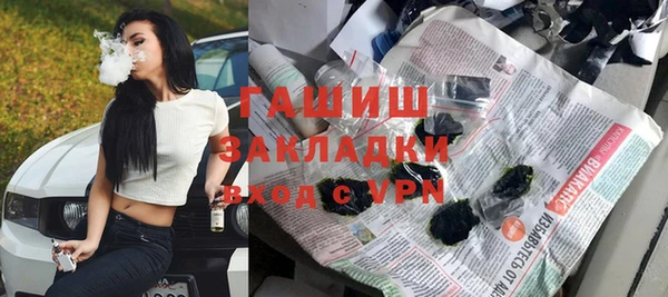 сатива Горняк