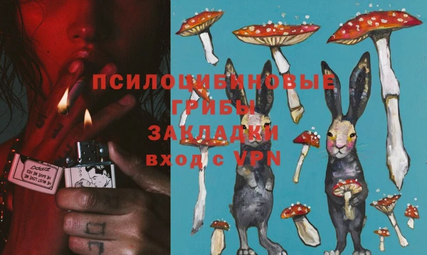 сатива Горняк