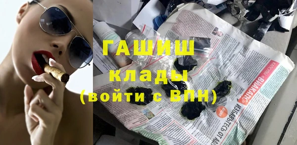 сатива Горняк