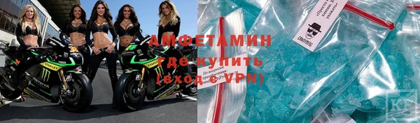 сатива Горняк