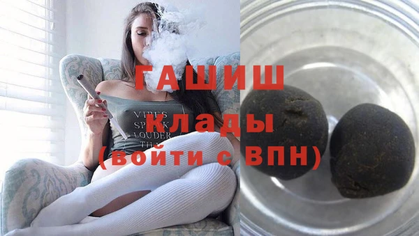 сатива Горняк